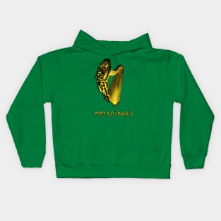 erin go brogh 1916 2016 Kids Hoodie